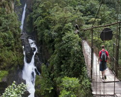 If you are going there then we recommend wearing comfortable, good grip shoes as you have to walk the long trail and it often rains at the place which